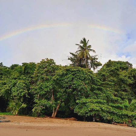 Vista Alta Ecolodge Bahia Drake Дрейк Екстер'єр фото