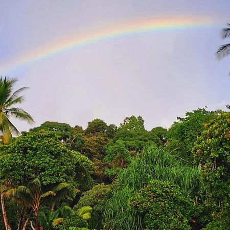Vista Alta Ecolodge Bahia Drake Дрейк Екстер'єр фото