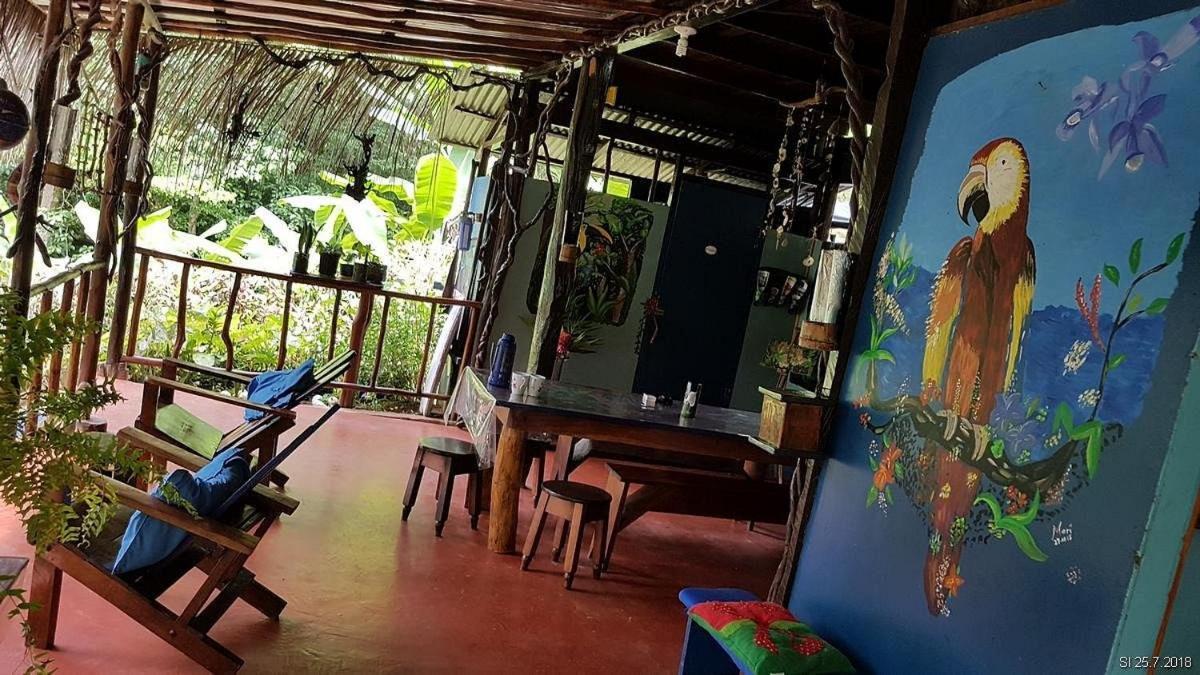 Vista Alta Ecolodge Bahia Drake Дрейк Екстер'єр фото