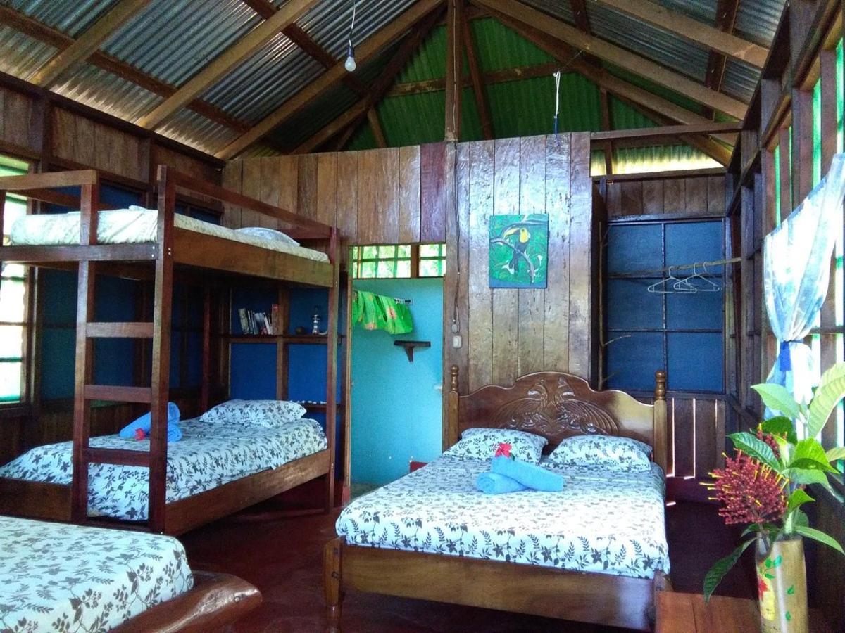 Vista Alta Ecolodge Bahia Drake Дрейк Екстер'єр фото