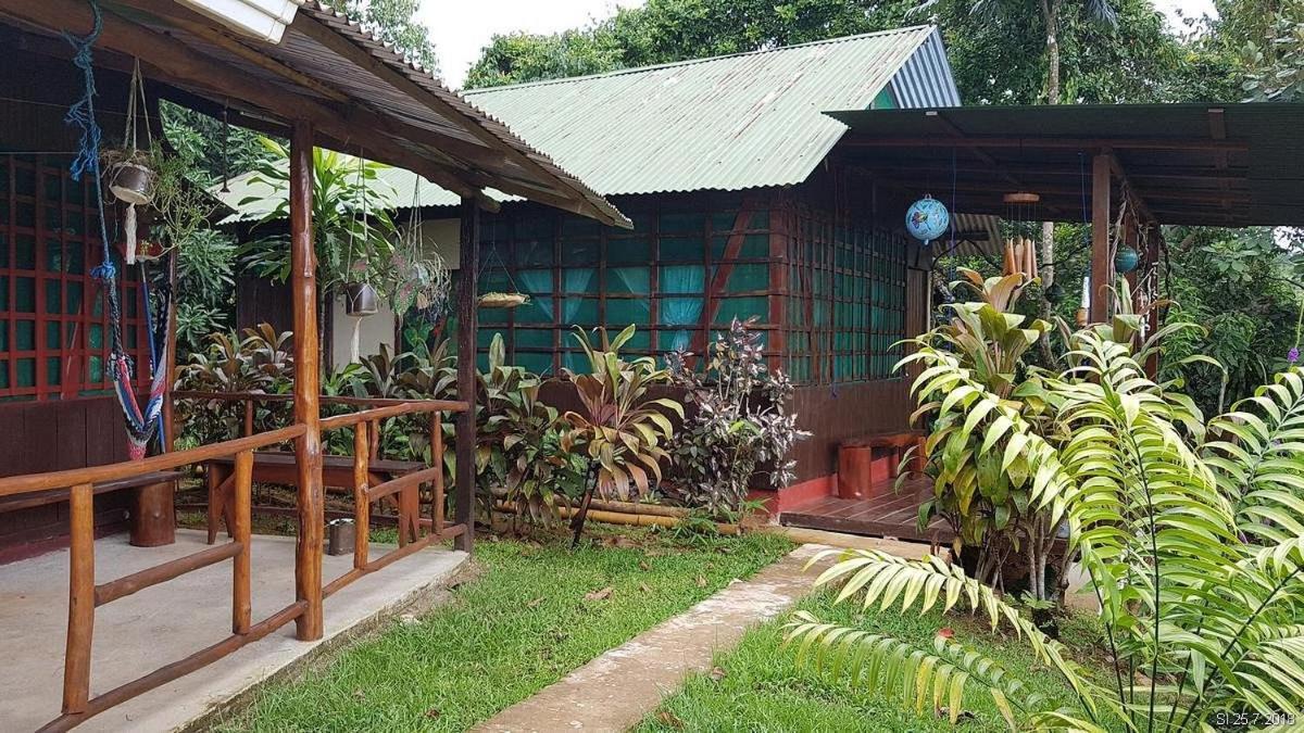 Vista Alta Ecolodge Bahia Drake Дрейк Екстер'єр фото