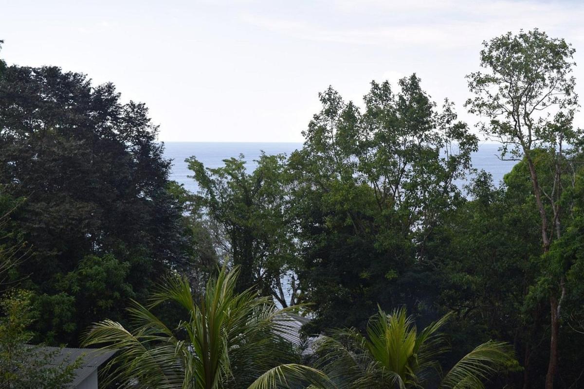 Vista Alta Ecolodge Bahia Drake Дрейк Екстер'єр фото