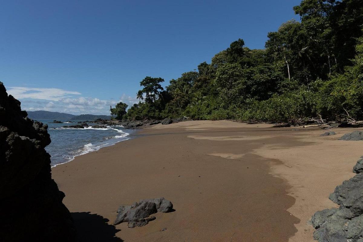 Vista Alta Ecolodge Bahia Drake Дрейк Екстер'єр фото