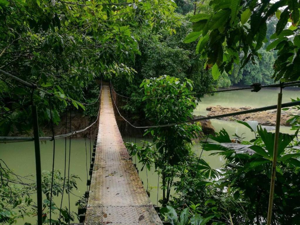Vista Alta Ecolodge Bahia Drake Дрейк Екстер'єр фото