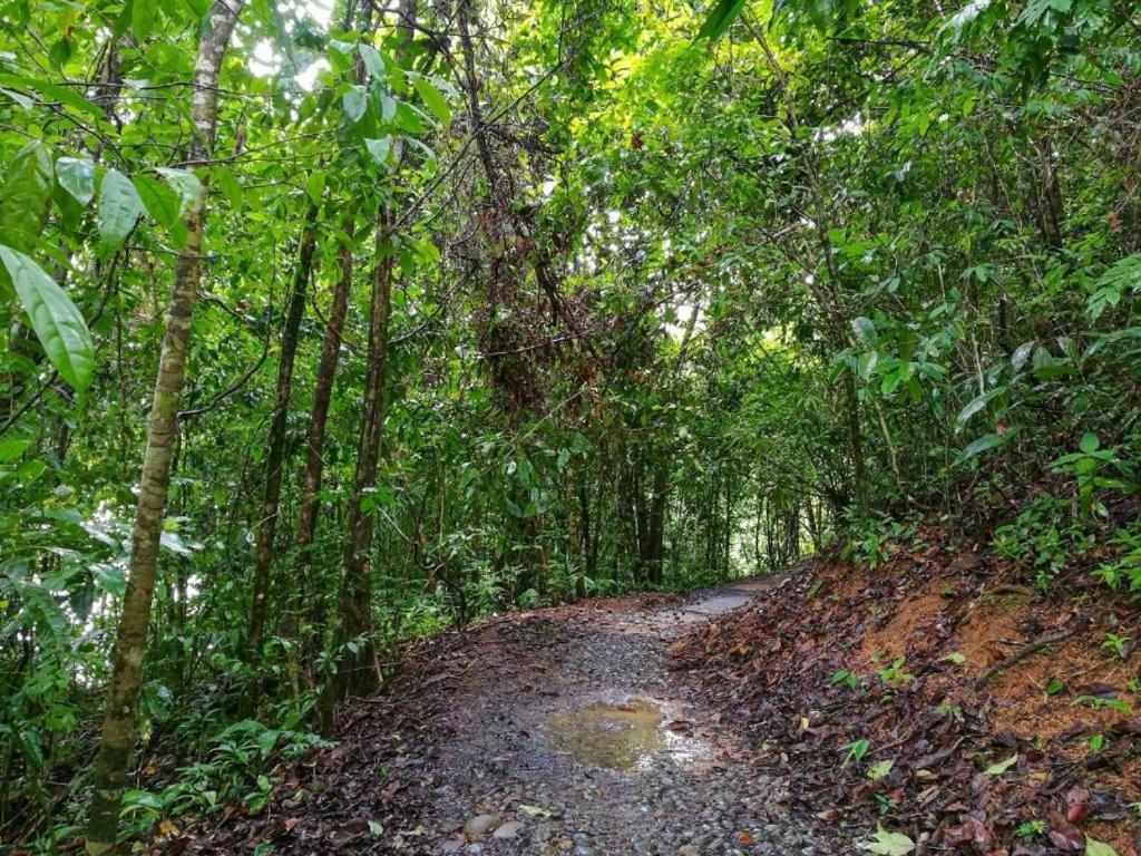Vista Alta Ecolodge Bahia Drake Дрейк Екстер'єр фото