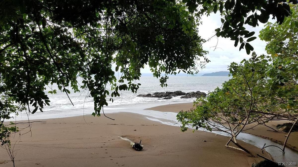 Vista Alta Ecolodge Bahia Drake Дрейк Екстер'єр фото
