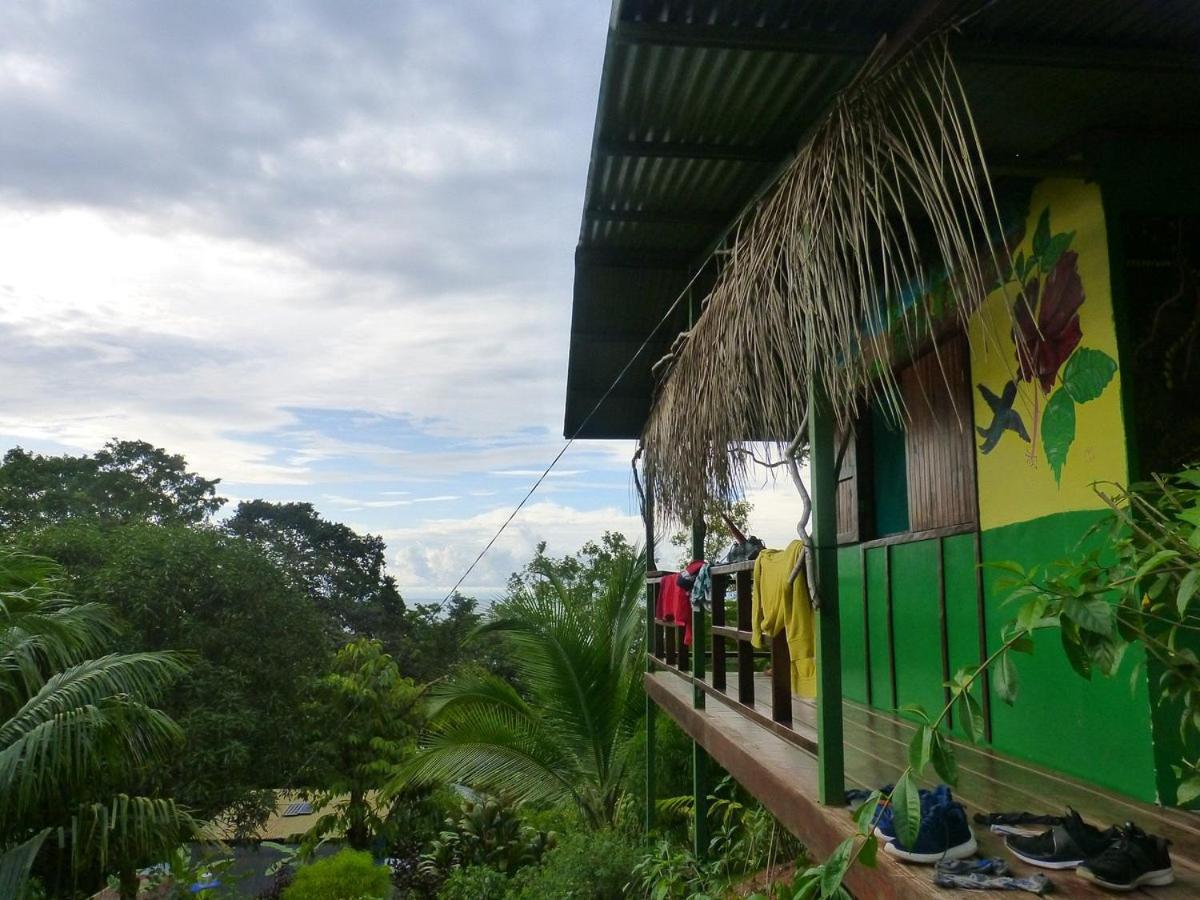 Vista Alta Ecolodge Bahia Drake Дрейк Екстер'єр фото