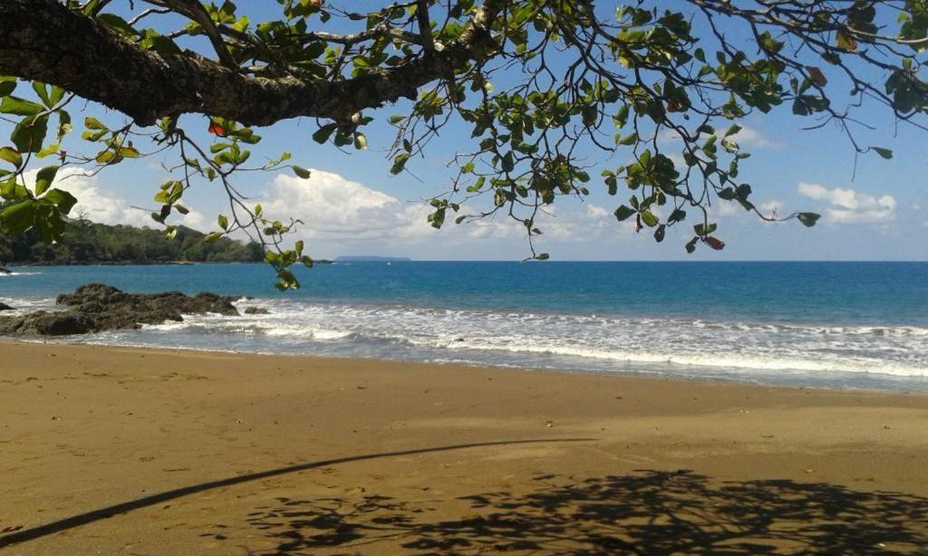 Vista Alta Ecolodge Bahia Drake Дрейк Екстер'єр фото
