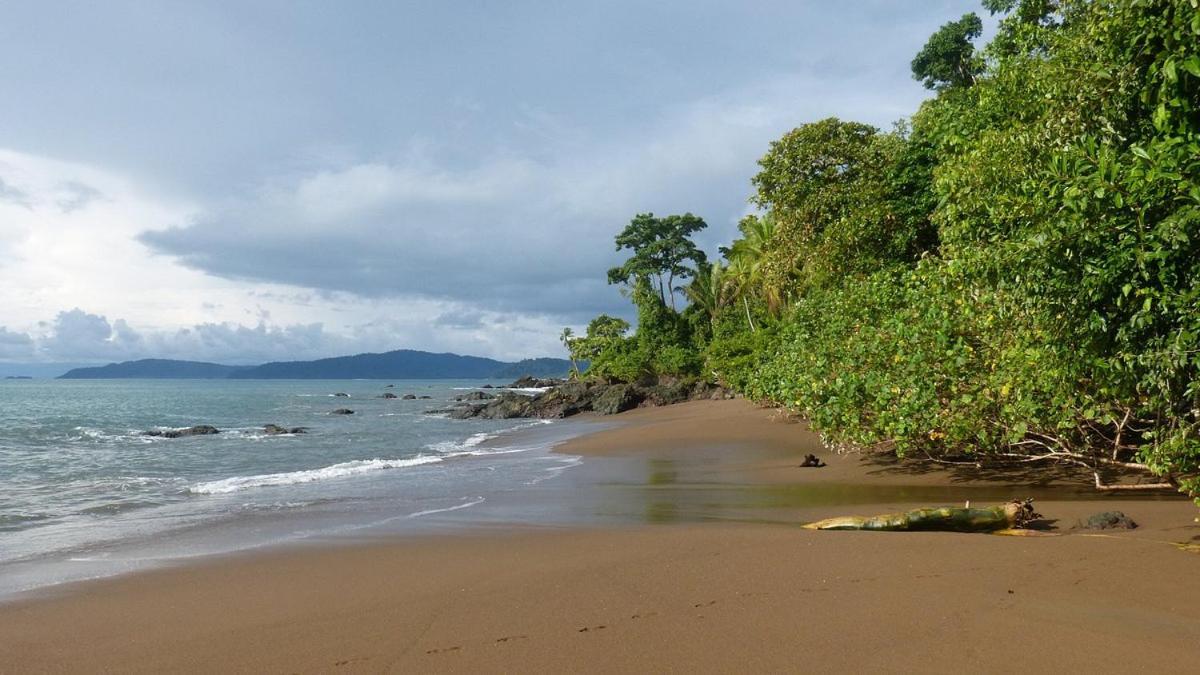 Vista Alta Ecolodge Bahia Drake Дрейк Екстер'єр фото