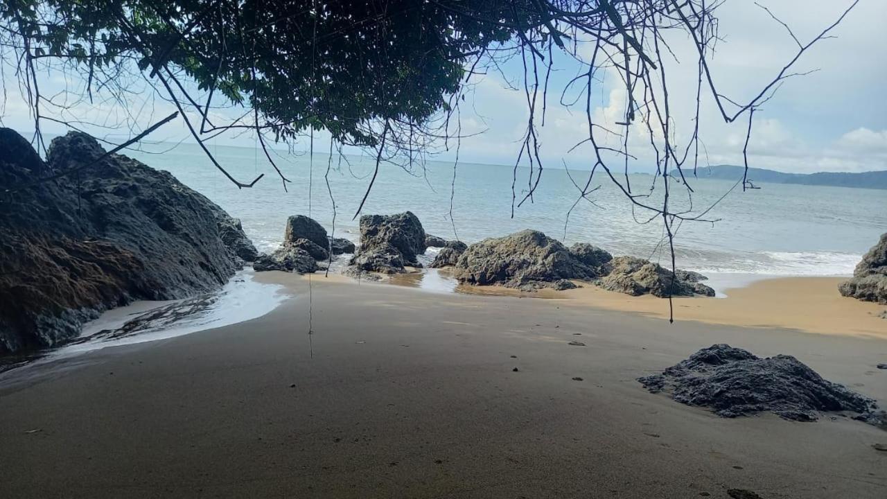 Vista Alta Ecolodge Bahia Drake Дрейк Екстер'єр фото