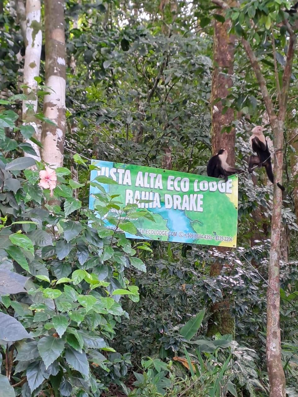 Vista Alta Ecolodge Bahia Drake Дрейк Екстер'єр фото