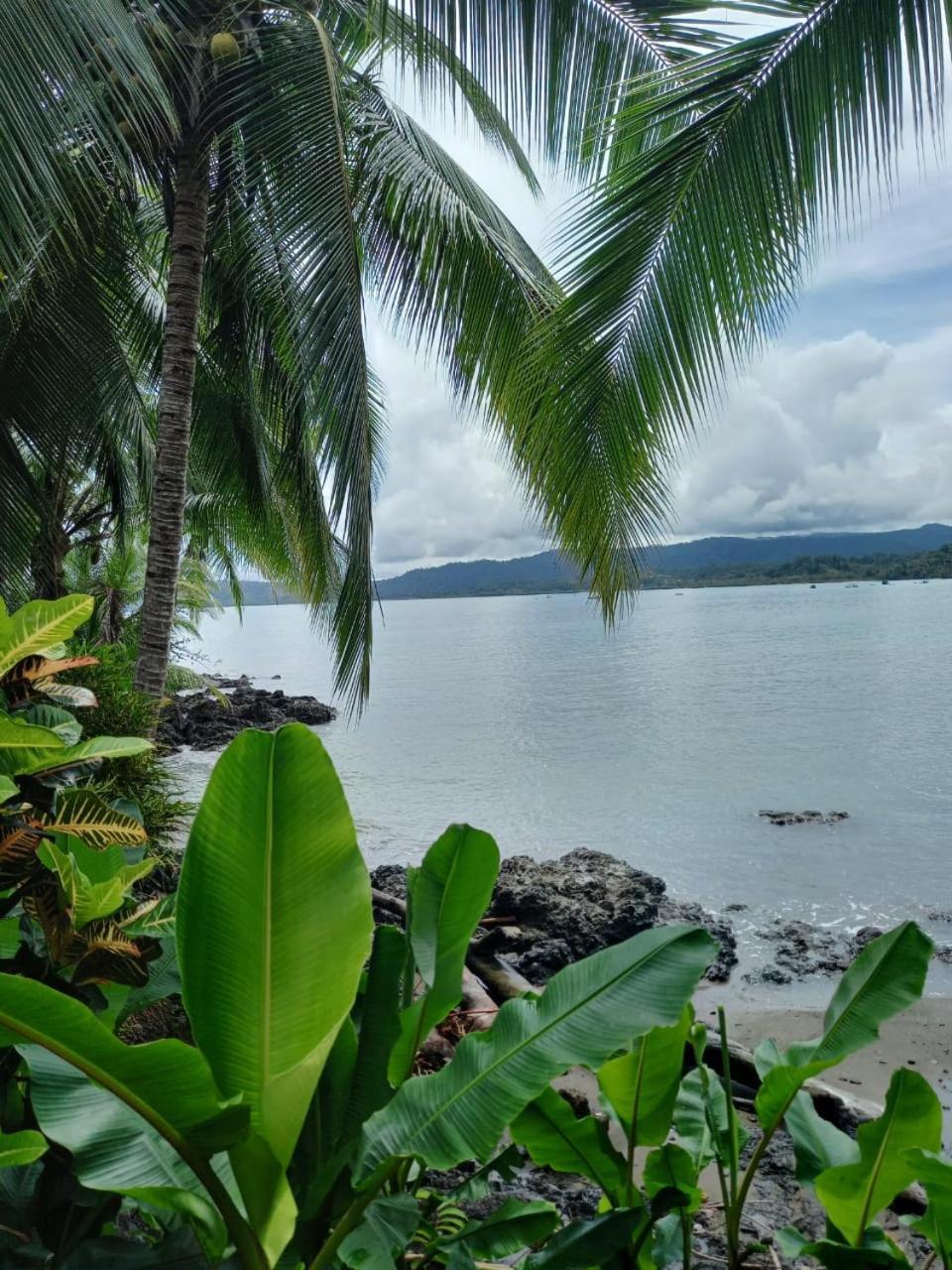 Vista Alta Ecolodge Bahia Drake Дрейк Екстер'єр фото