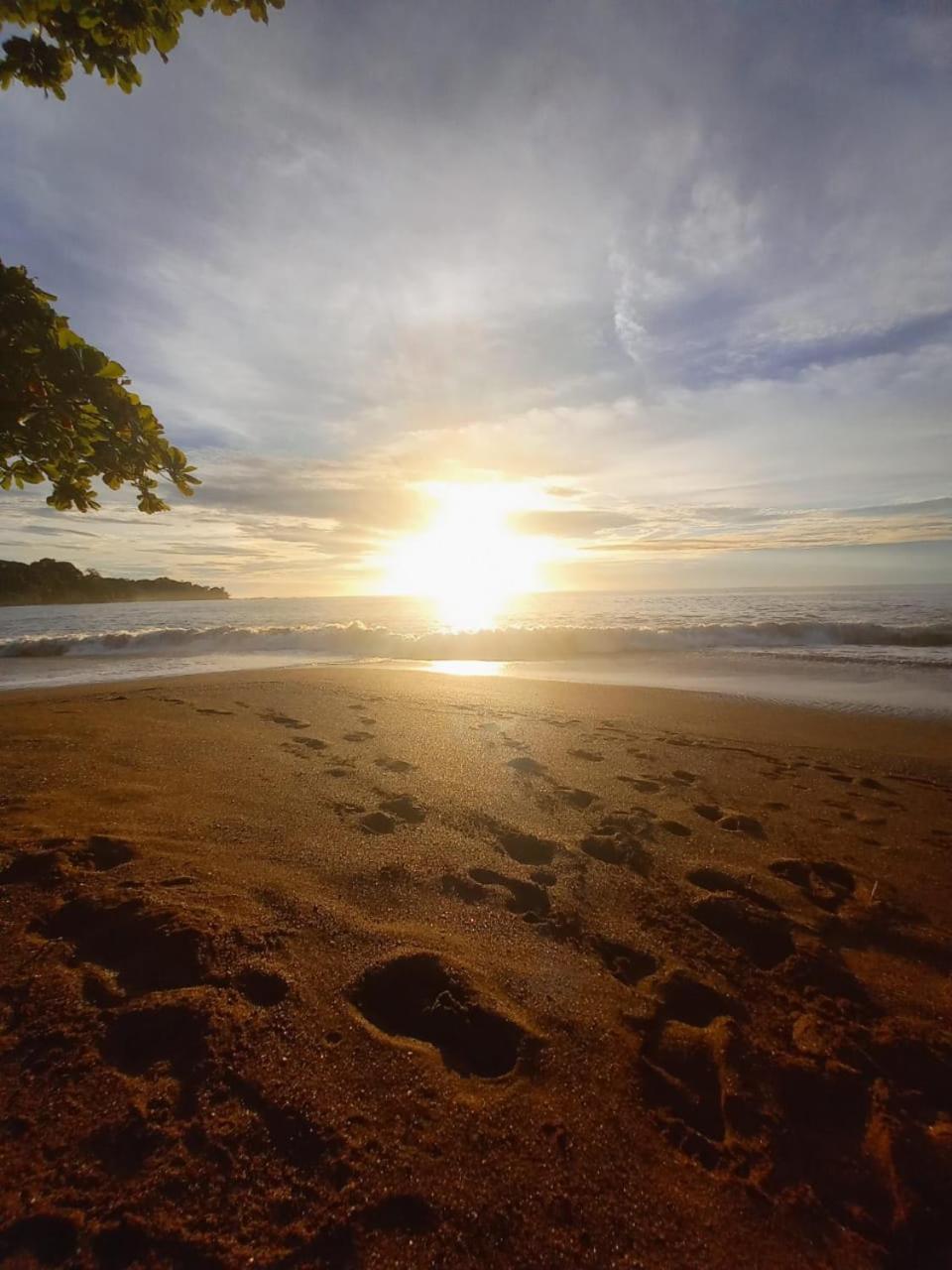 Vista Alta Ecolodge Bahia Drake Дрейк Екстер'єр фото