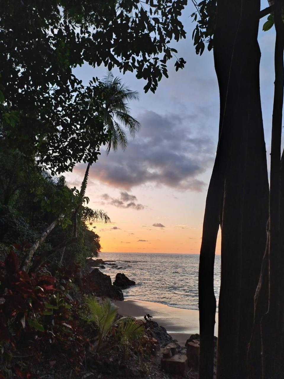 Vista Alta Ecolodge Bahia Drake Дрейк Екстер'єр фото