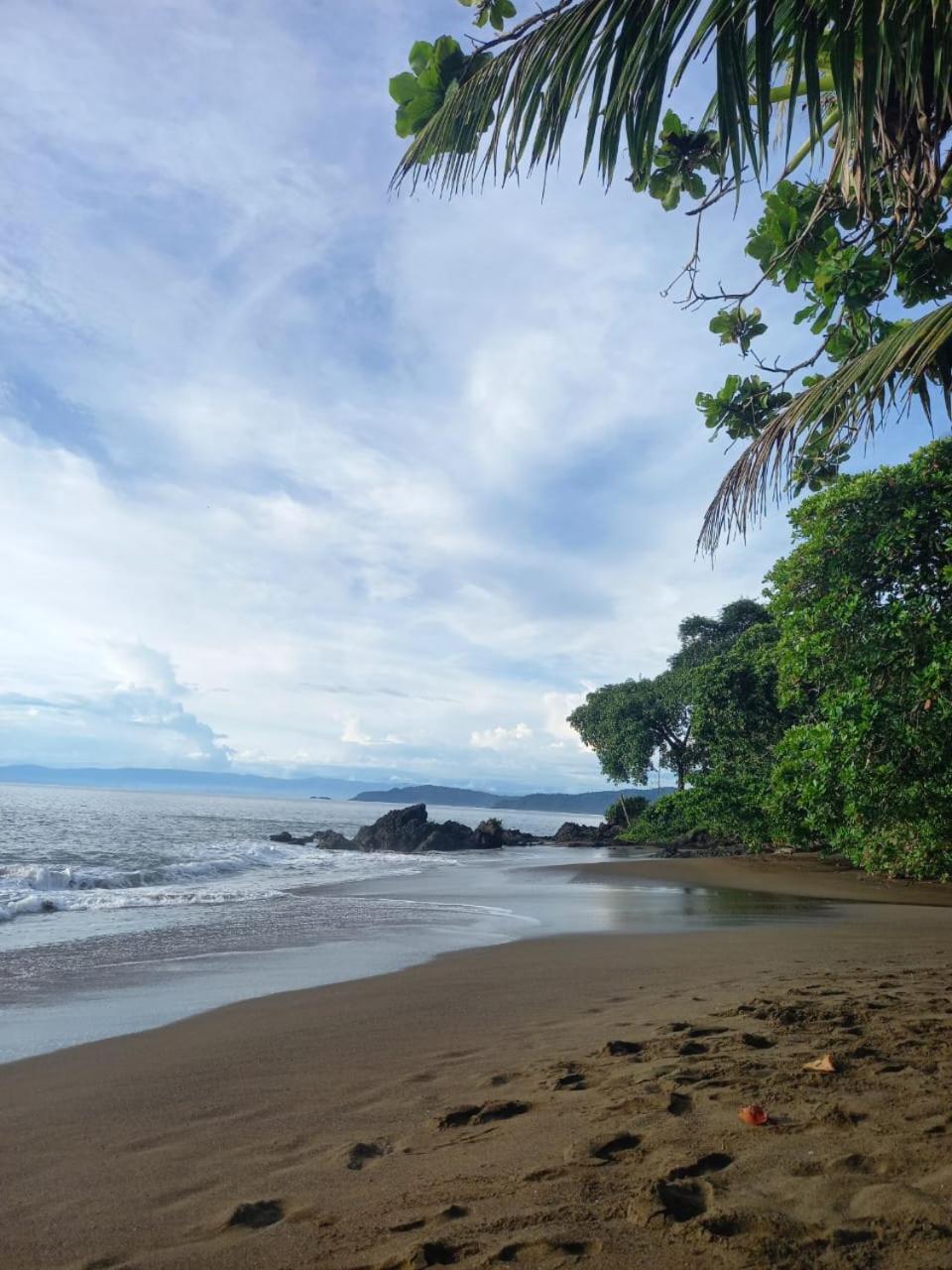 Vista Alta Ecolodge Bahia Drake Дрейк Екстер'єр фото
