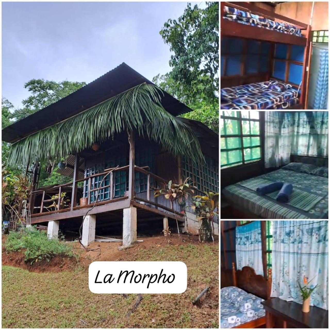 Vista Alta Ecolodge Bahia Drake Дрейк Екстер'єр фото