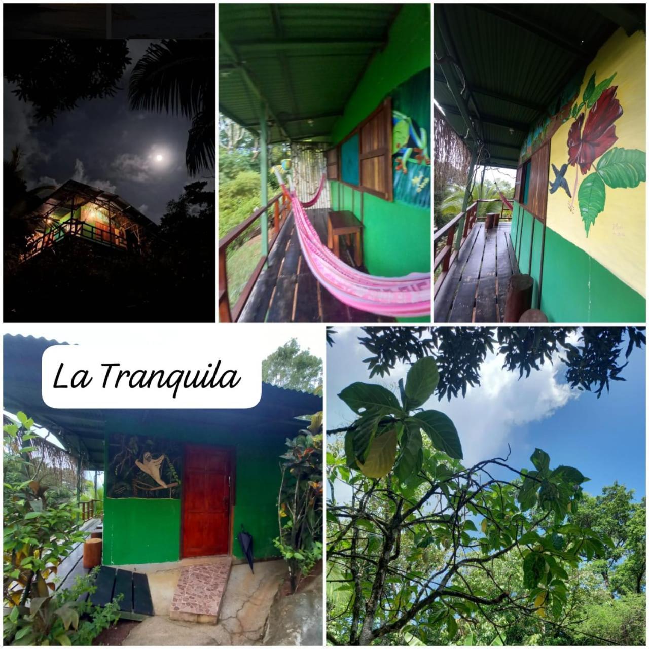 Vista Alta Ecolodge Bahia Drake Дрейк Екстер'єр фото