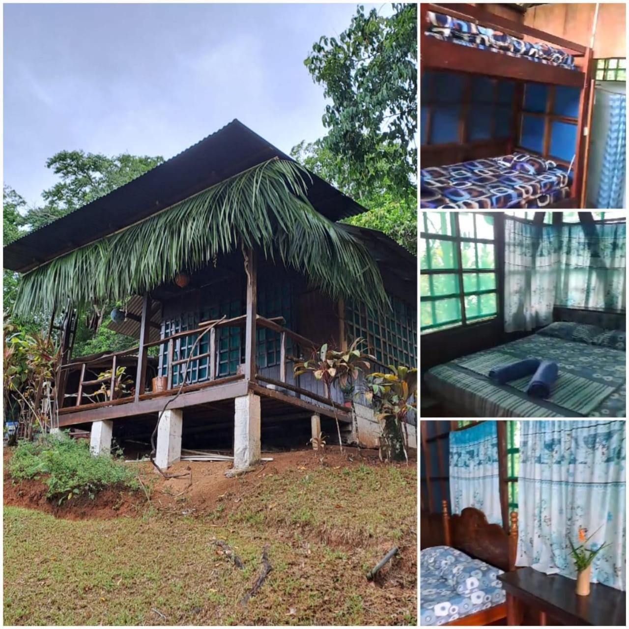 Vista Alta Ecolodge Bahia Drake Дрейк Екстер'єр фото