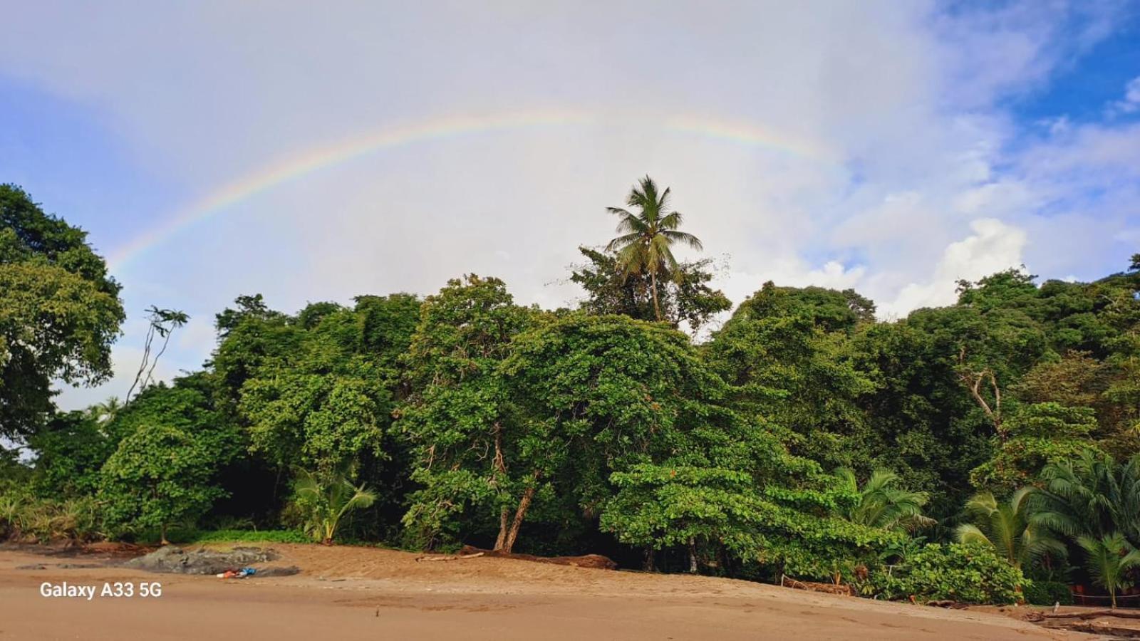 Vista Alta Ecolodge Bahia Drake Дрейк Екстер'єр фото