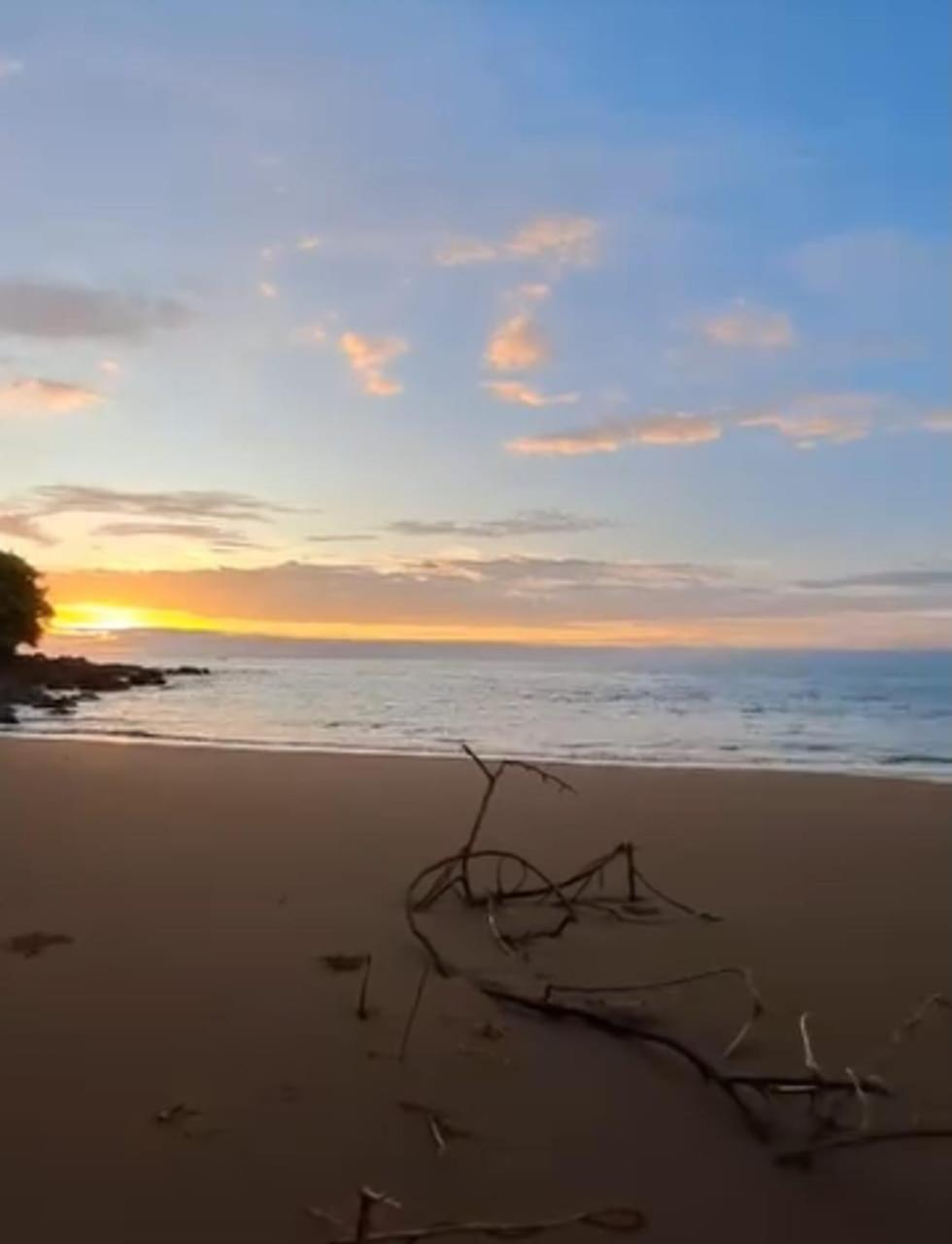 Vista Alta Ecolodge Bahia Drake Дрейк Екстер'єр фото