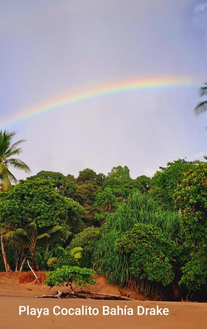 Vista Alta Ecolodge Bahia Drake Дрейк Екстер'єр фото